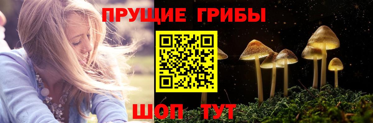 Галлюциногенные грибы Psilocybe  Вход с VPN  Анжеро-Судженск 
